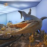 Dinosaurier - Erfolgsmodelle der Evolution - Bild 6