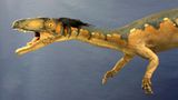 Dinosaurier - Erfolgsmodelle der Evolution - Bild 9
