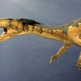 Dinosaurier - Erfolgsmodelle der Evolution - Bild 9