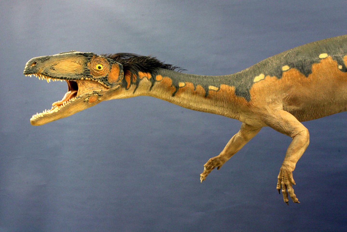 Dinosaurier - Erfolgsmodelle der Evolution - Bild 9