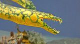 Dinosaurier - Erfolgsmodelle der Evolution - Bild 10