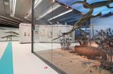 Dinosaurier - Erfolgsmodelle der Evolution - Bild 12
