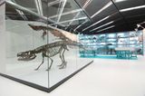 Dinosaurier - Erfolgsmodelle der Evolution - Bild 13