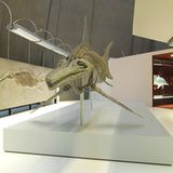 Dinosaurier - Erfolgsmodelle der Evolution - Bild 14