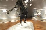 Dinosaurier - Erfolgsmodelle der Evolution - Bild 15