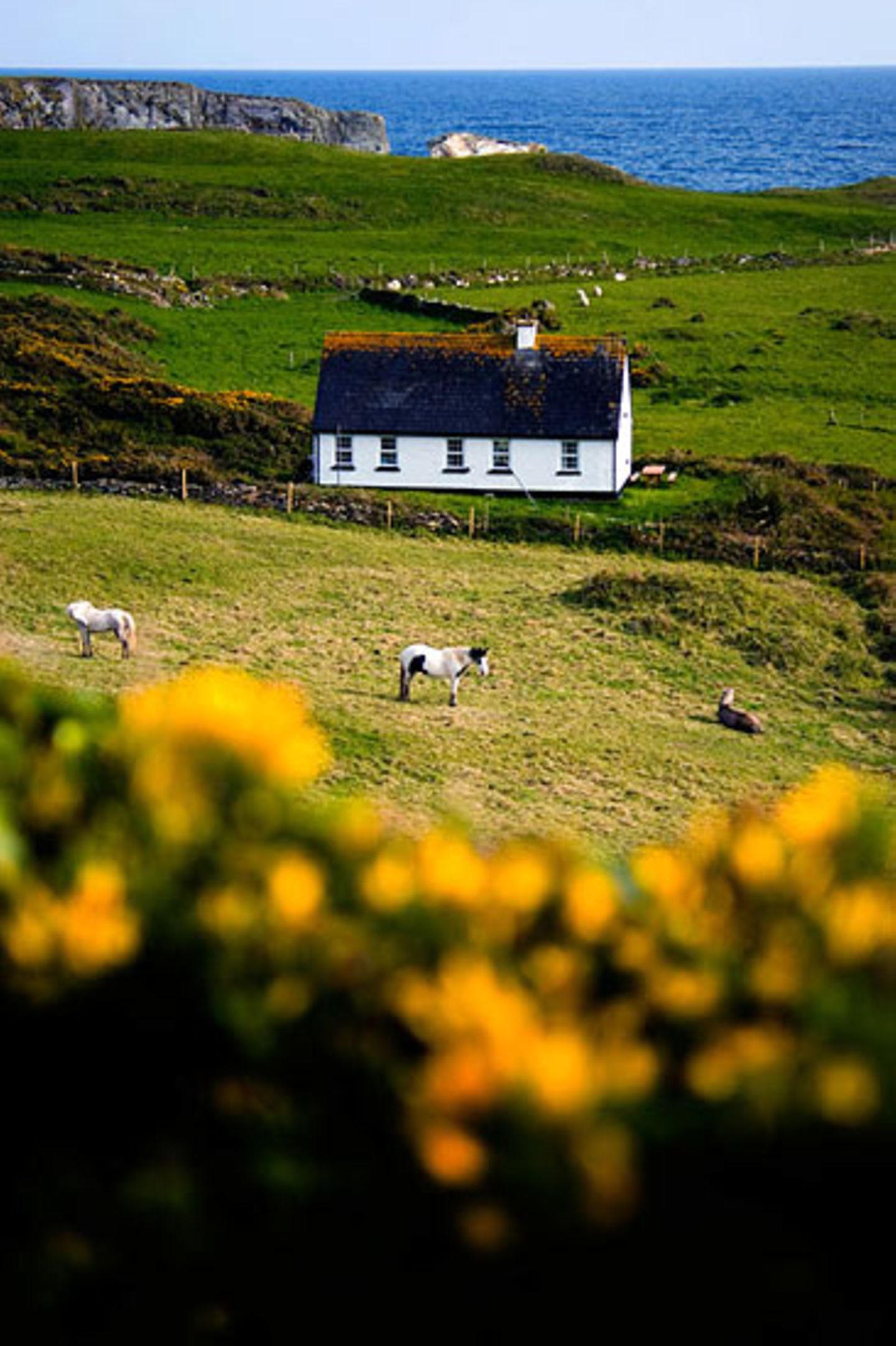 Fotogalerie zum Cover-Wettbewerb: Irland - Bild 2
