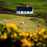 Fotogalerie zum Cover-Wettbewerb: Irland - Bild 2
