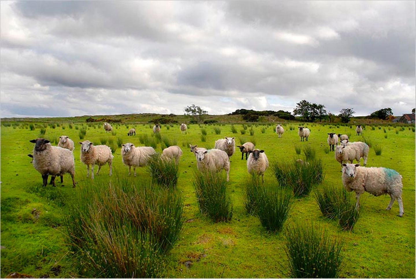 Fotogalerie zum Cover-Wettbewerb: Irland - Bild 4