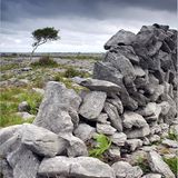 Fotogalerie zum Cover-Wettbewerb: Irland - Bild 5