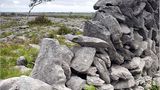 Fotogalerie zum Cover-Wettbewerb: Irland - Bild 5