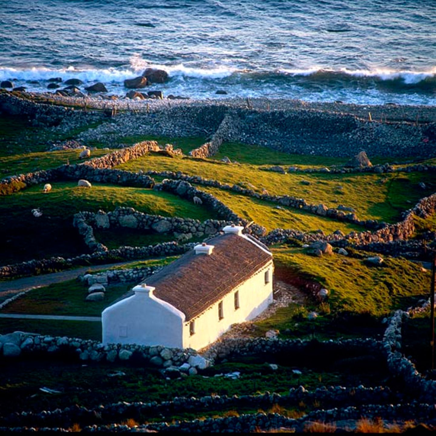 Fotogalerie zum Cover-Wettbewerb: Irland - Bild 6