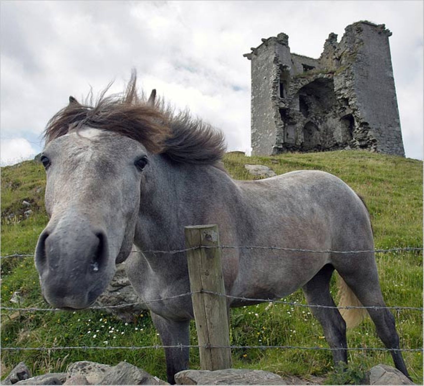 Fotogalerie zum Cover-Wettbewerb: Irland - Bild 9