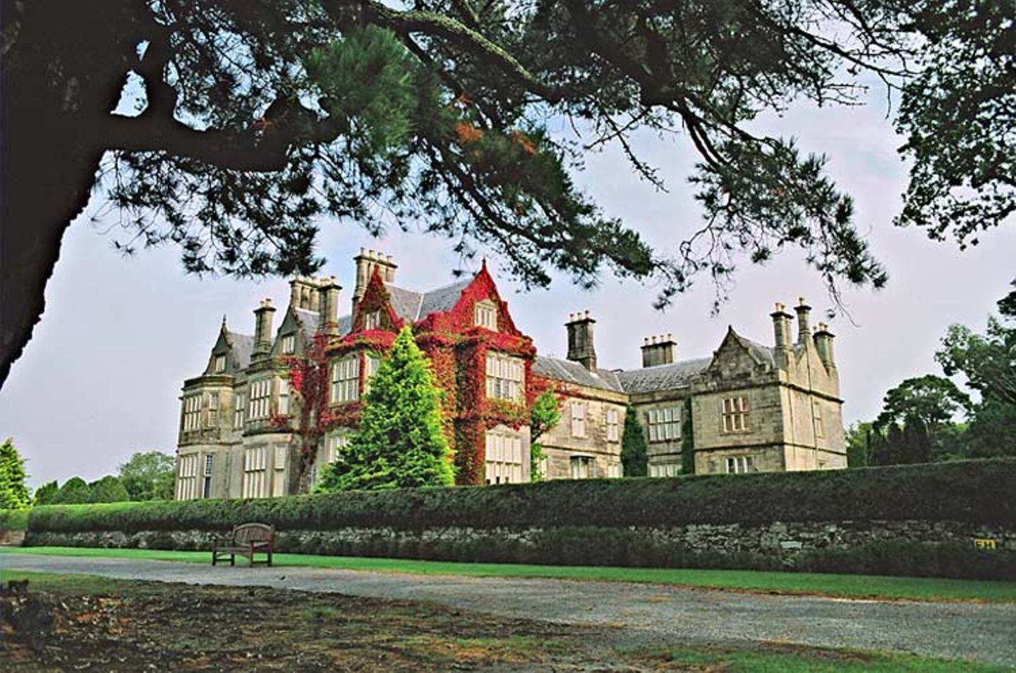 Fotogalerie zum Cover-Wettbewerb: Irland - Bild 13