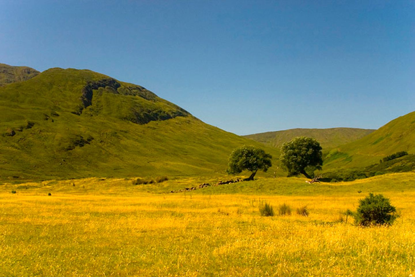 Fotogalerie zum Cover-Wettbewerb: Irland - Bild 14
