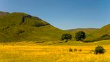 Fotogalerie zum Cover-Wettbewerb: Irland - Bild 14