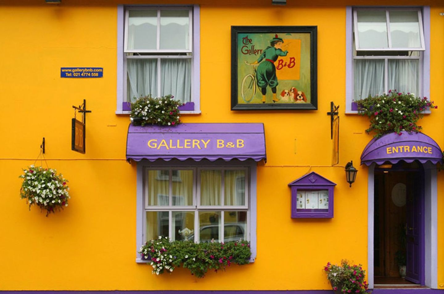 Fotogalerie zum Cover-Wettbewerb: Irland - Bild 15