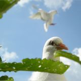 Das User-Bild des Tages - Mai 2007