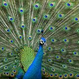 Das User-Bild des Tages - Mai 2007 - Bild 3