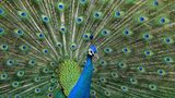 Das User-Bild des Tages - Mai 2007 - Bild 3