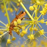 Das User-Bild des Tages - Mai 2007 - Bild 4