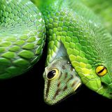 Das User-Bild des Tages - Mai 2007 - Bild 5