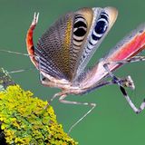 Das User-Bild des Tages - Mai 2007 - Bild 8