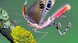 Das User-Bild des Tages - Mai 2007 - Bild 8