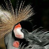 Das User-Bild des Tages - Mai 2007 - Bild 12