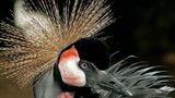 Das User-Bild des Tages - Mai 2007 - Bild 12