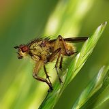 Das User-Bild des Tages - Mai 2007 - Bild 13