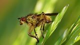 Das User-Bild des Tages - Mai 2007 - Bild 13