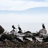 Das User-Bild des Tages - Mai 2007 - Bild 15