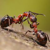 Das User-Bild des Tages - Mai 2007 - Bild 17