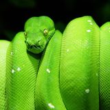 Das User-Bild des Tages - Mai 2007 - Bild 20