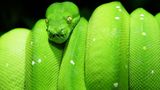 Das User-Bild des Tages - Mai 2007 - Bild 20