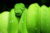 Das User-Bild des Tages - Mai 2007 - Bild 20
