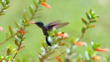 Das User-Bild des Tages - Mai 2007 - Bild 21