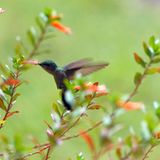 Das User-Bild des Tages - Mai 2007 - Bild 21