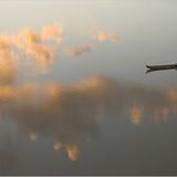 Das User-Foto des Tages - Juni 2007 - Bild 2