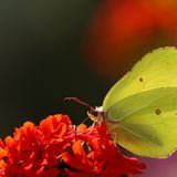 Das User-Foto des Tages - Juni 2007 - Bild 3