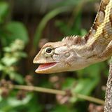 Das User-Foto des Tages - Juni 2007 - Bild 7