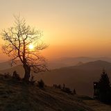 Das User-Foto des Tages - Juni 2007 - Bild 13