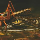 Das User-Foto des Tages - Juni 2007 - Bild 16