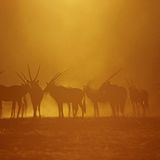 Das User-Foto des Tages - Juni 2007 - Bild 19