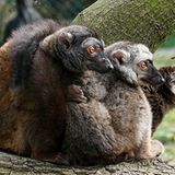 Das User-Foto des Tages - Juni 2007 - Bild 20