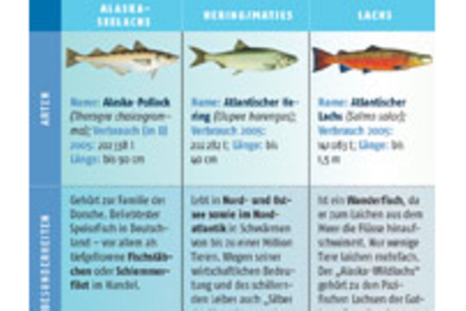 Welchen Fisch darf man noch essen?