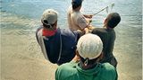 Welchen Fisch darf man noch essen? - Bild 5