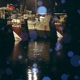 Welchen Fisch darf man noch essen? - Bild 8