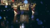 Welchen Fisch darf man noch essen? - Bild 8