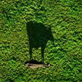 Das User-Foto des Tages - Juli 2007 - Bild 3